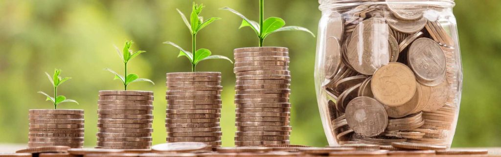 Aus Münzstapeln wachsen kleine Pflanzen