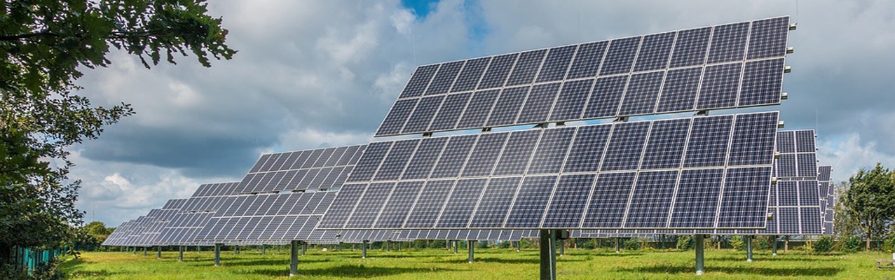 Solarplatten auf einer Grünfläche