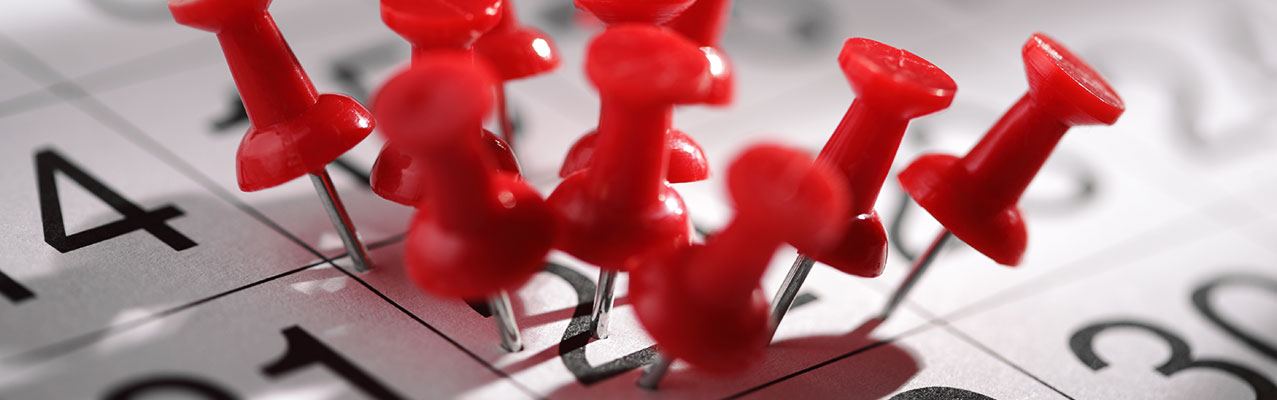 Viele Pinnnadeln markieren einen Tag im Kalender